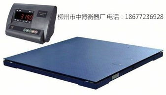 柳州地磅廠家 集生產、銷售、維修與金屬結構制造于一體的專業服務商